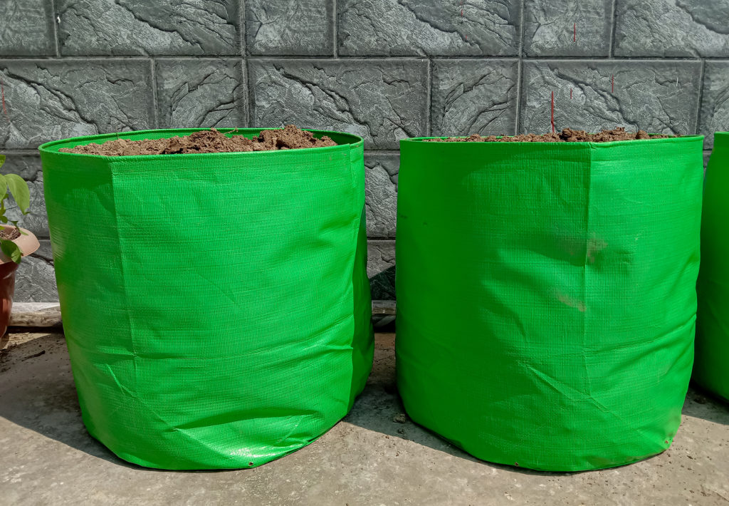 Best Grow Bags for Leafy Vegetables: A Simple and Efficient