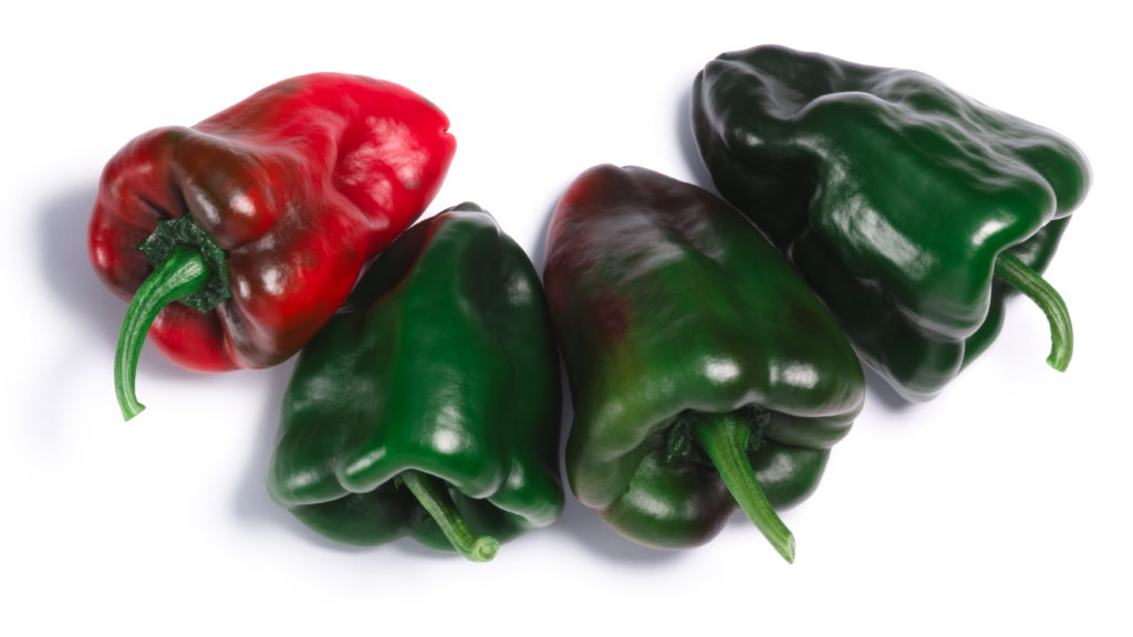 Ancho Grande chile peppers (Capsicum annuum) 