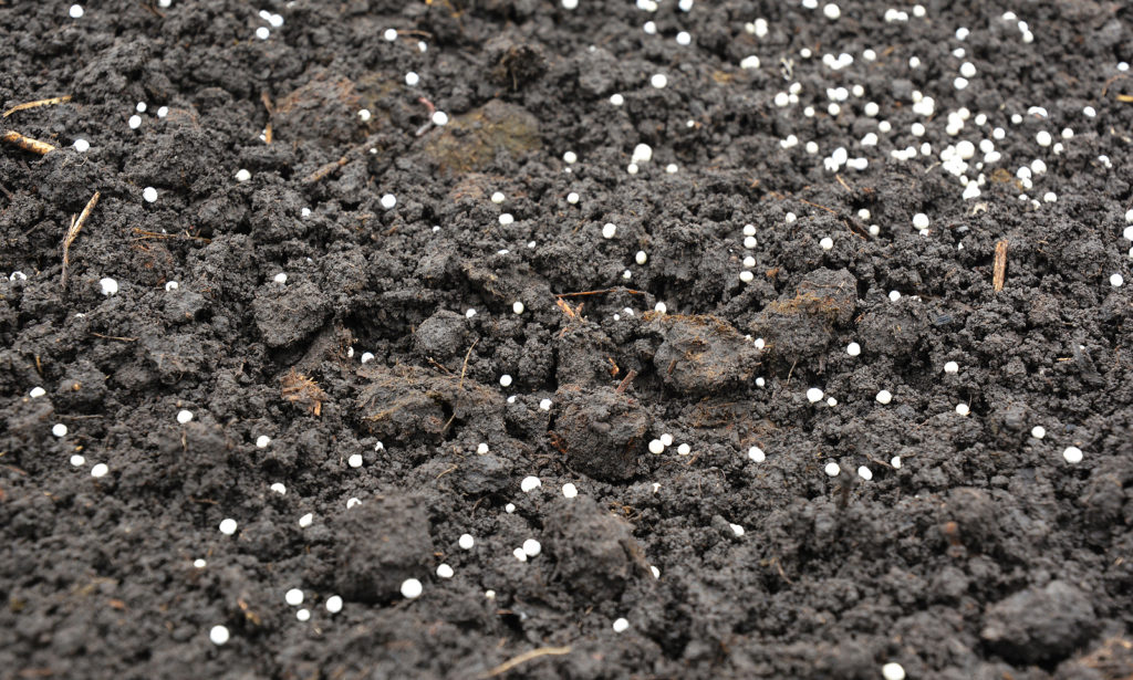 Time-release fertilizer in soil