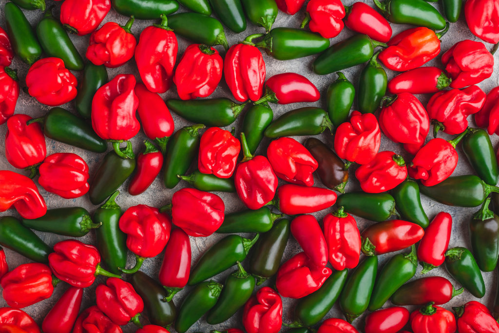 Habanero (red) and Jalapeno (green) peppers