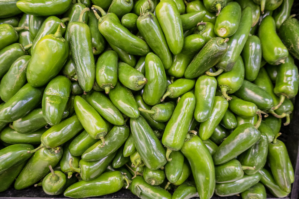 Green Pablano chilis 