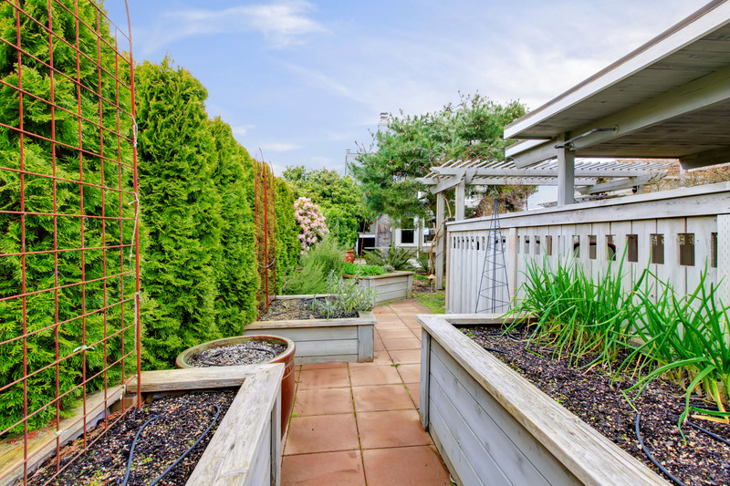 Tall raised beds