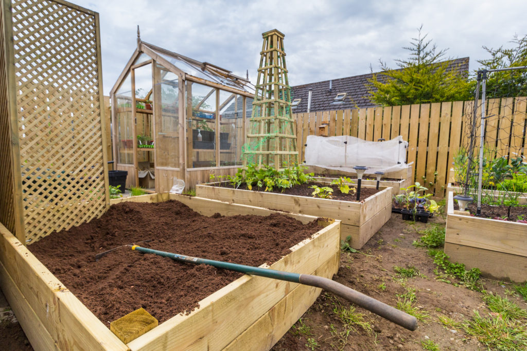 Wooden climbing trellis in vegetable garden