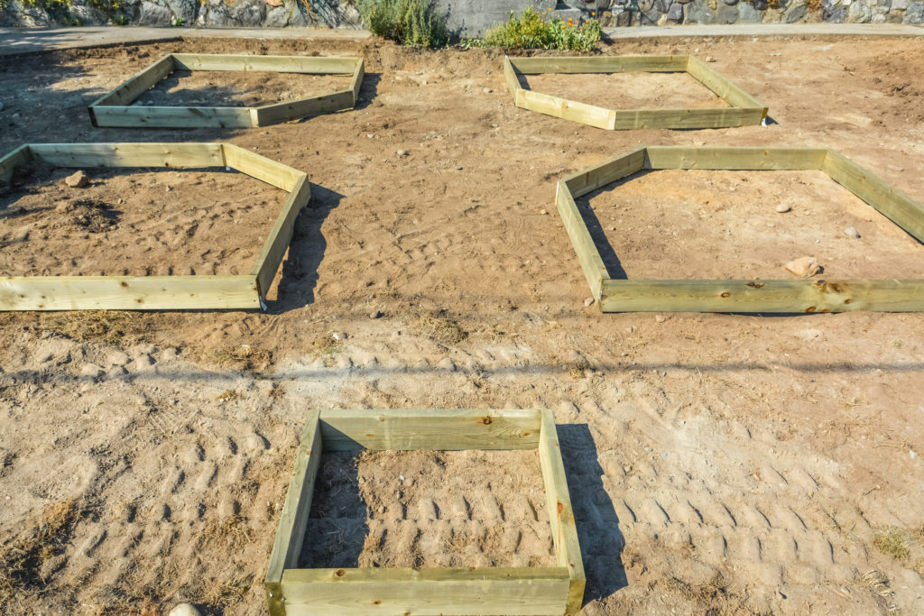 Laying out garden beds 