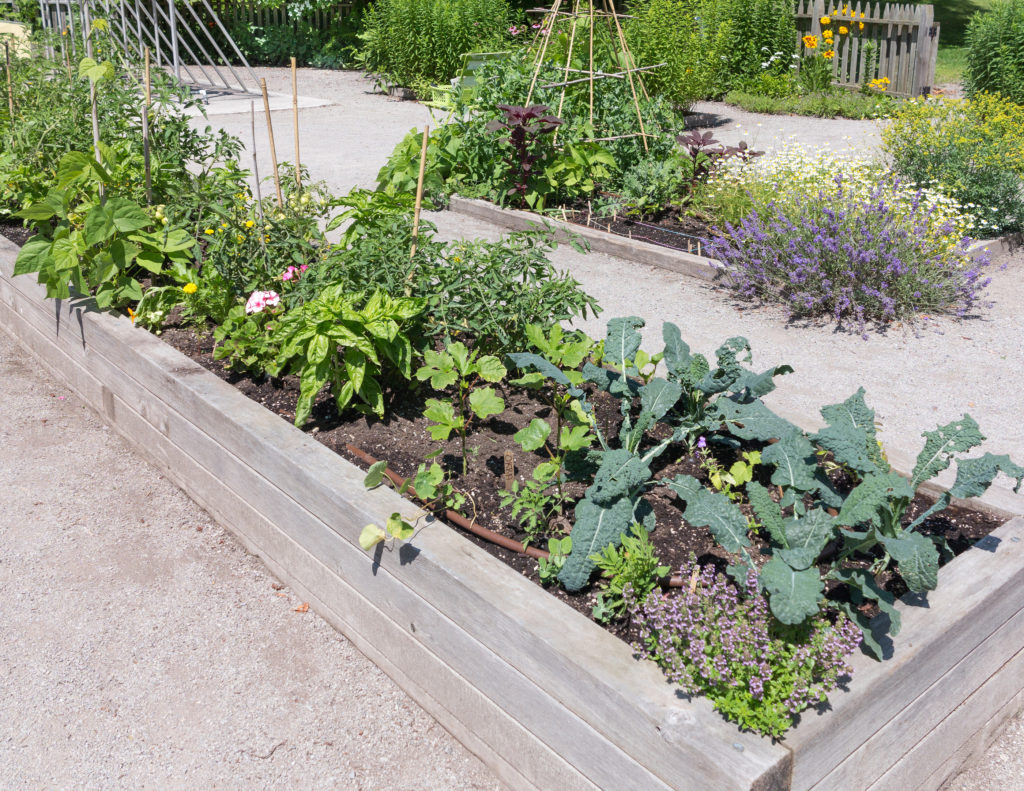 Narrow raised beds