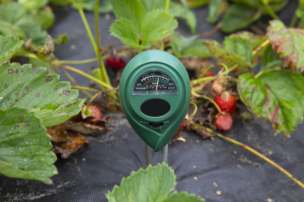 Digital device to measure soil pH and soil moisture.