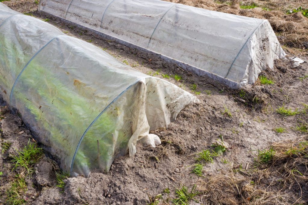 Plastic tunnels