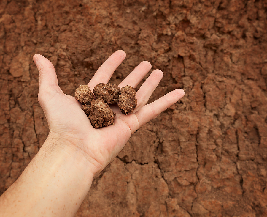 Clay soil squeeze test