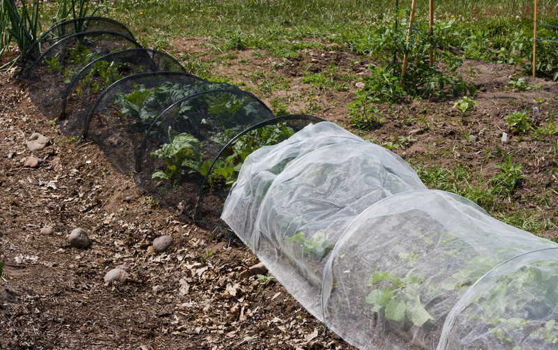 Shade cloth tunnel