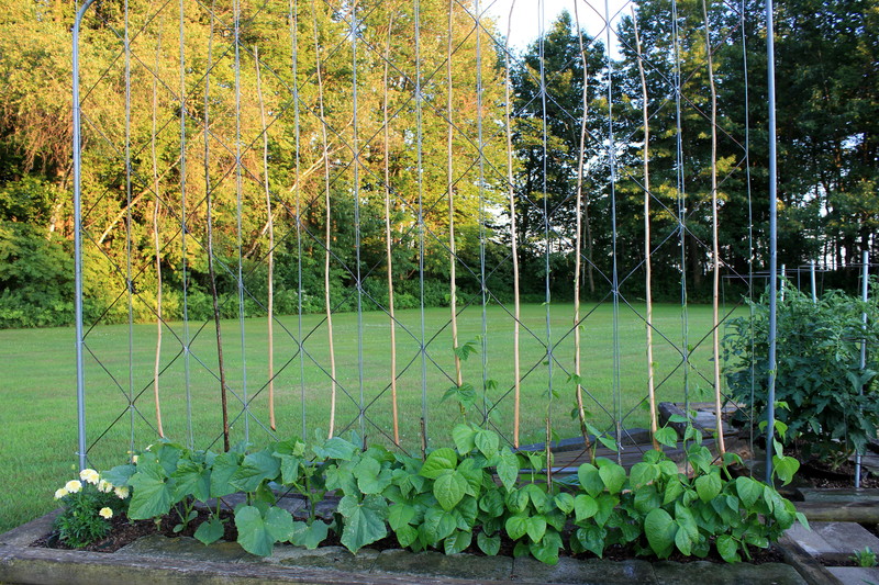 Frame with vertical cords