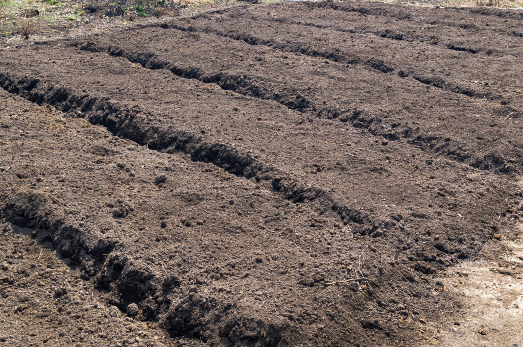 Mounded planting beds