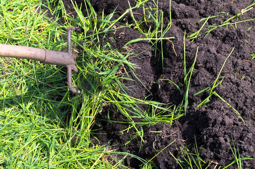 Turning under green manure cover croo