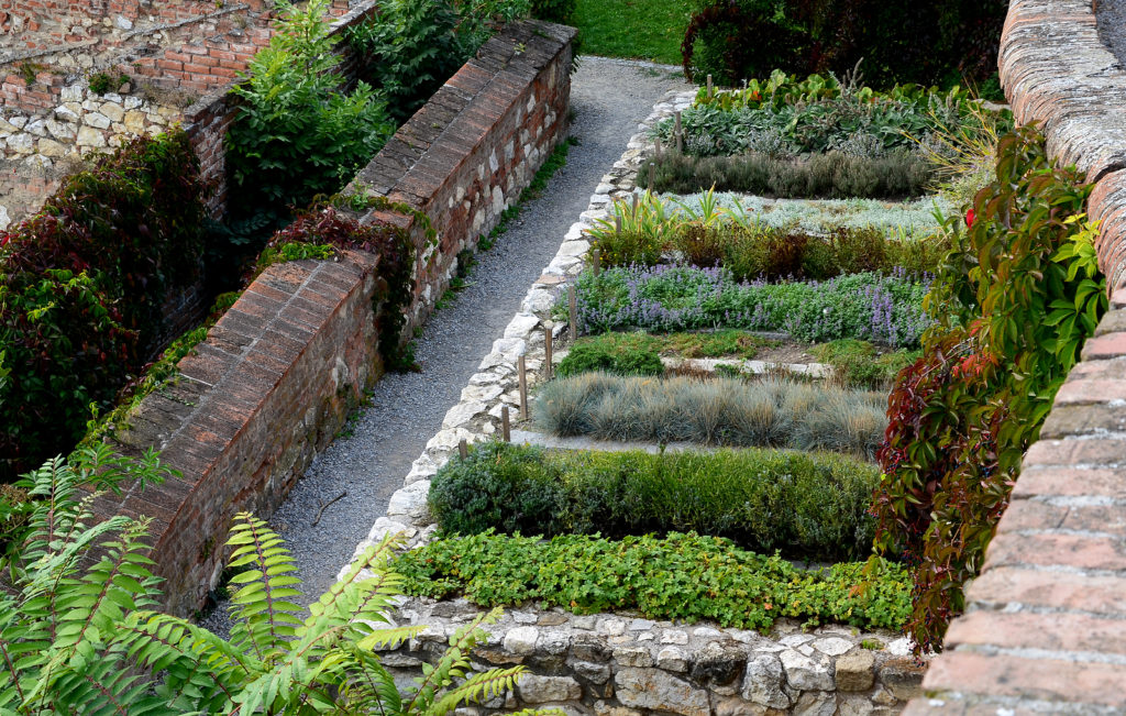 Herb beds in rows 