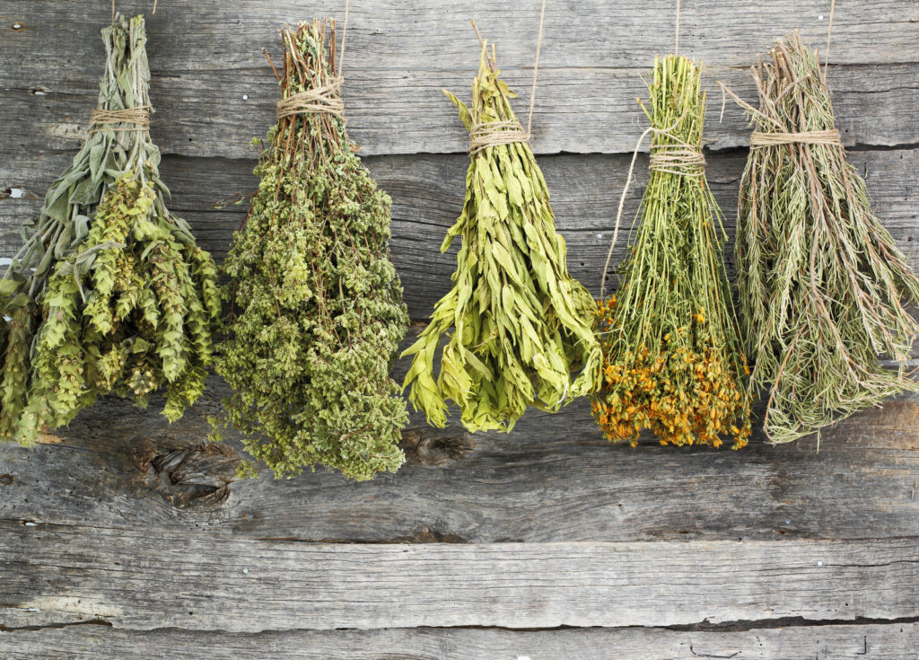 Air drying herbs for kitchen use
