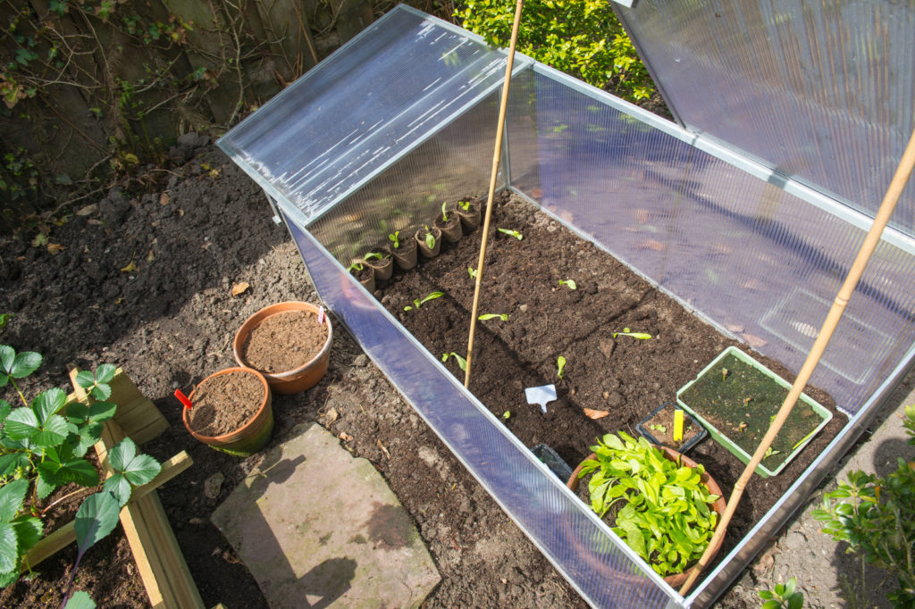 Cold frame with polycarbonate top and sides
