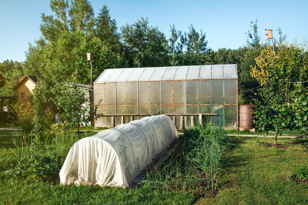 Hoop tunnel and greenhouse