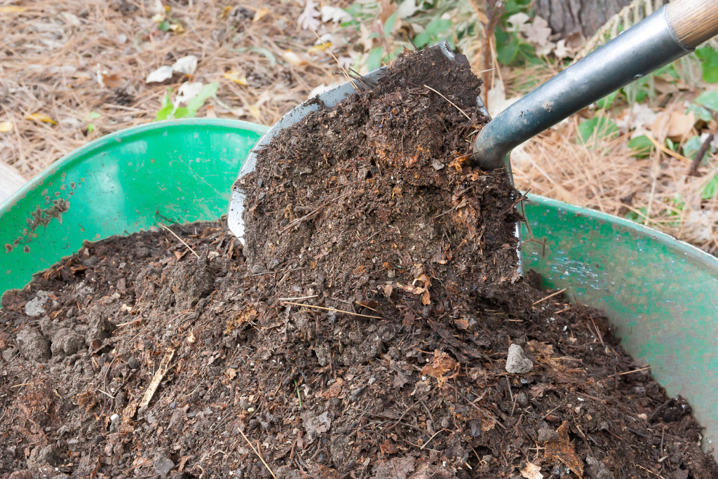 Finished compost improves soil fertility and texture