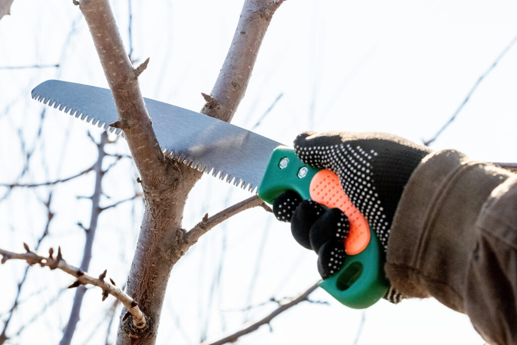 Electric hand saw to deals cut tree branches