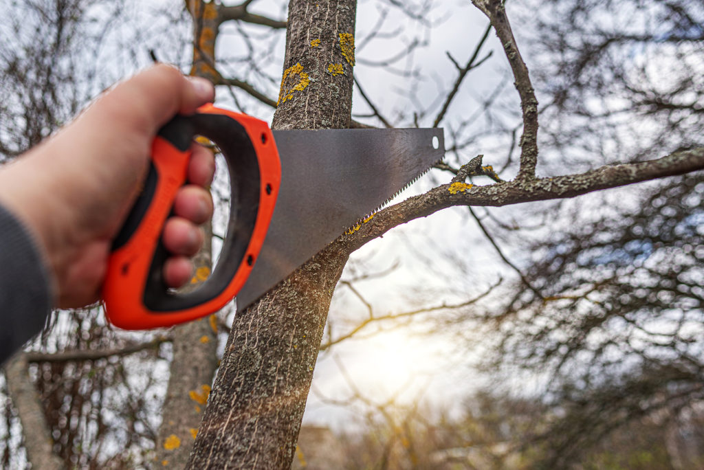 Hand pruning saw with D-grip and hang-up hole 