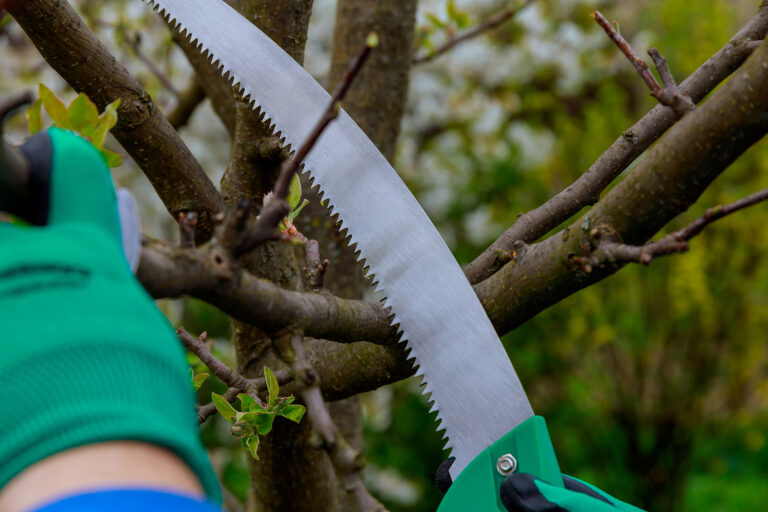 Pruning saw
