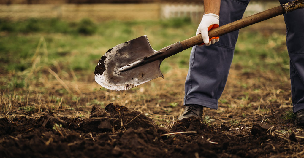 Round-point shovel