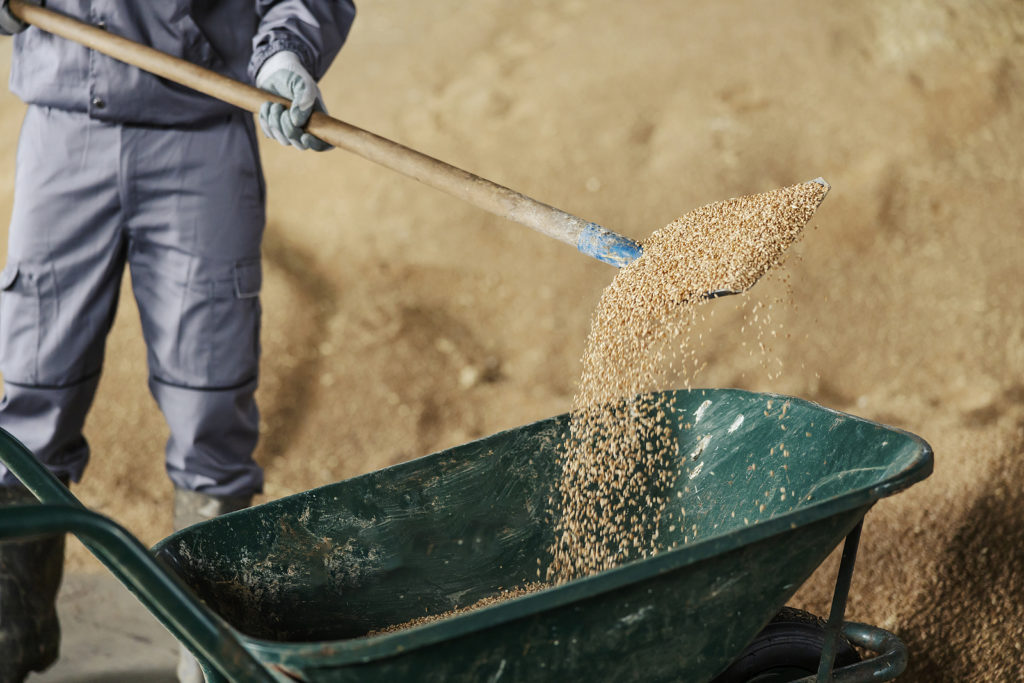 Square-point shovel