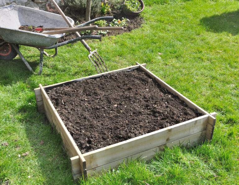 Small raised bed