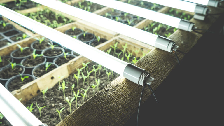 Grow lights