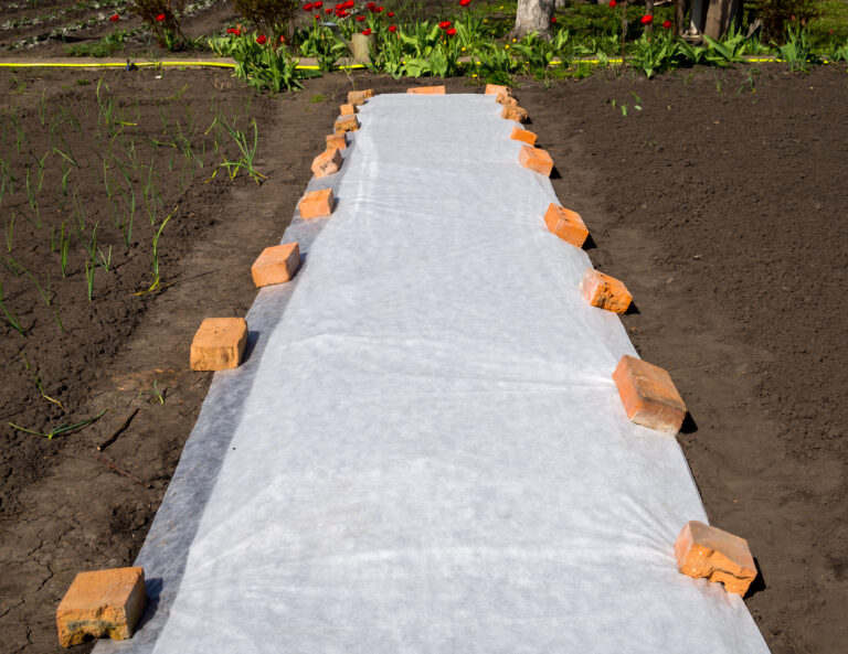 Row cover