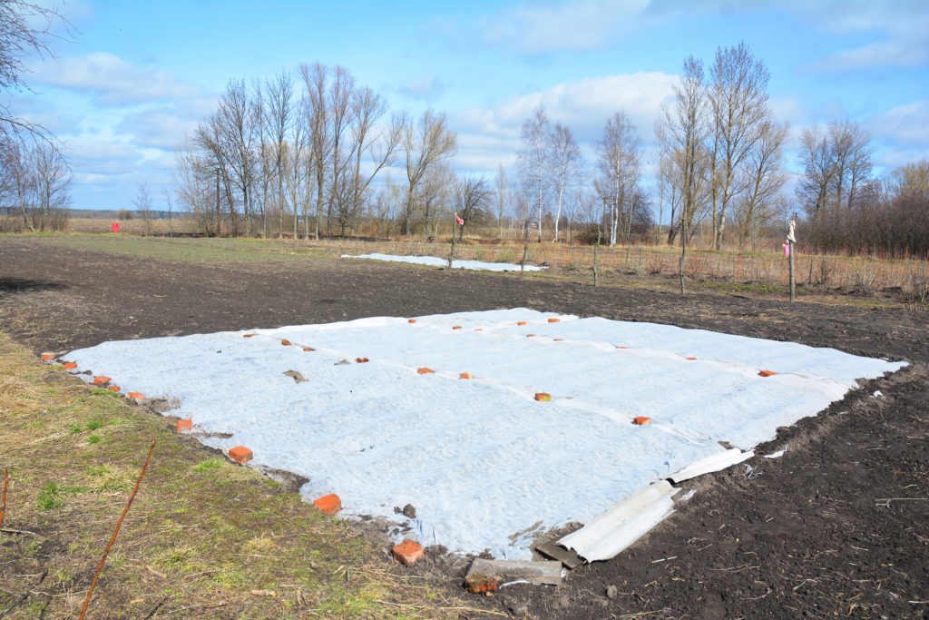 Spunbond fabric used to warm the soil before spring planting