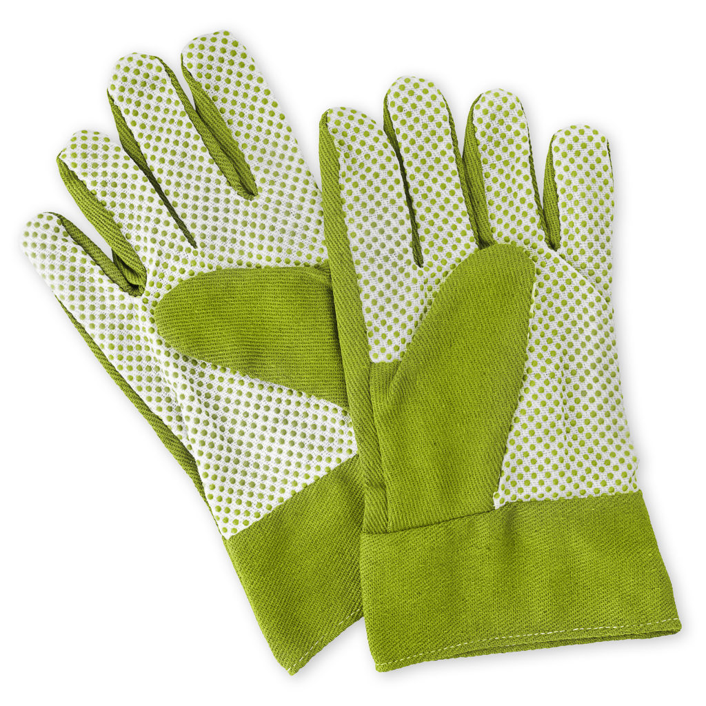 https://harvesttotable.com/wp-content/uploads/2023/12/Gloves-bigstock-Gardening-Cloth-Green-Safety-G-476719489-1024x1024.jpg