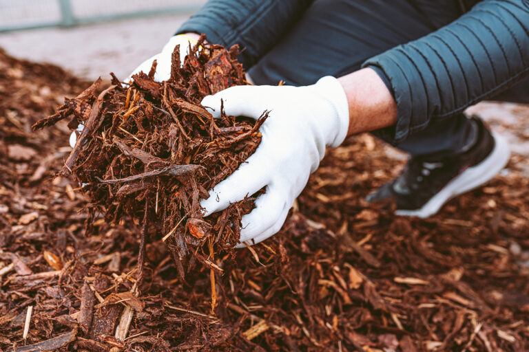 Garden gloves