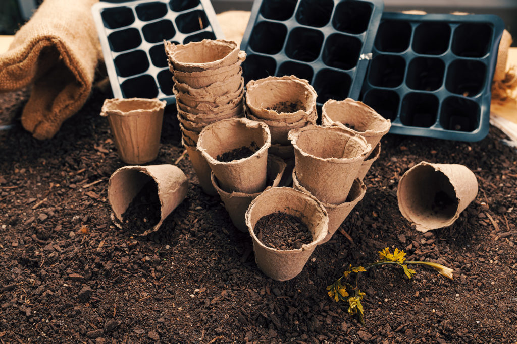 Biodegradable peat pots