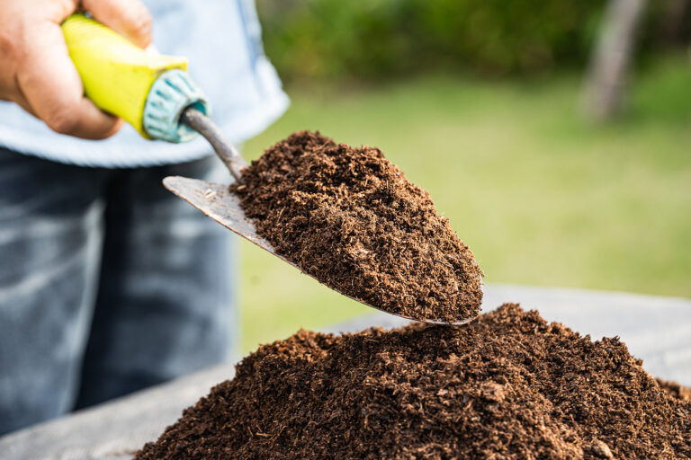 Potting soil