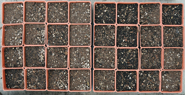 Seed starting mix in seed tray