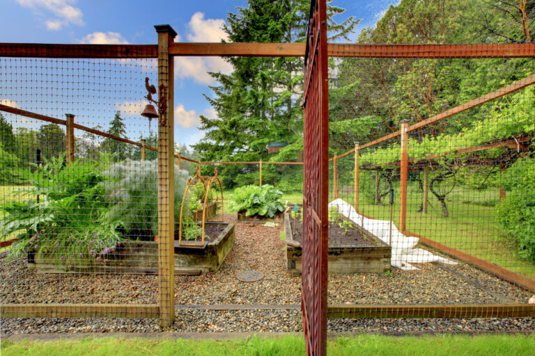 Animal Pest Control in the Garden