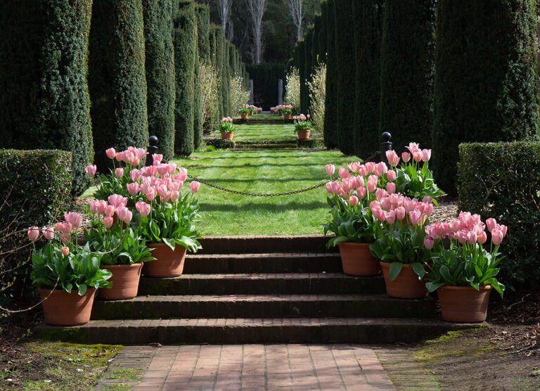 Garden Style Basics