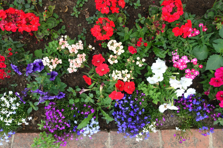 Gardening Terminology Explained