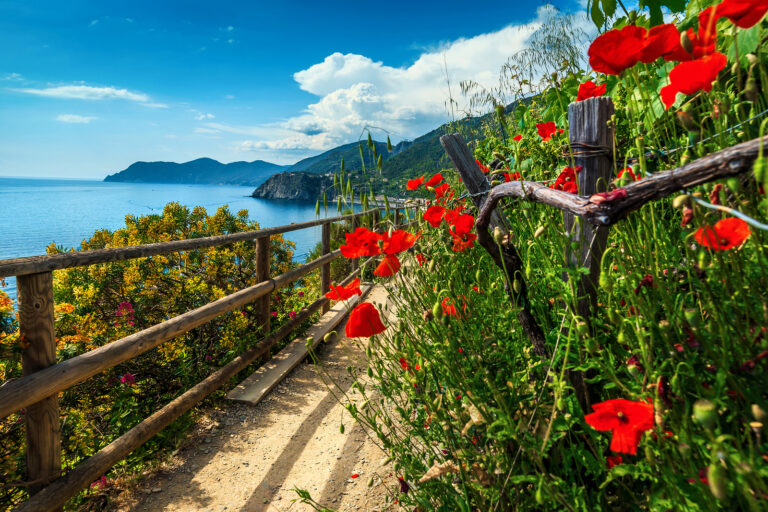 Coastal Gardening
