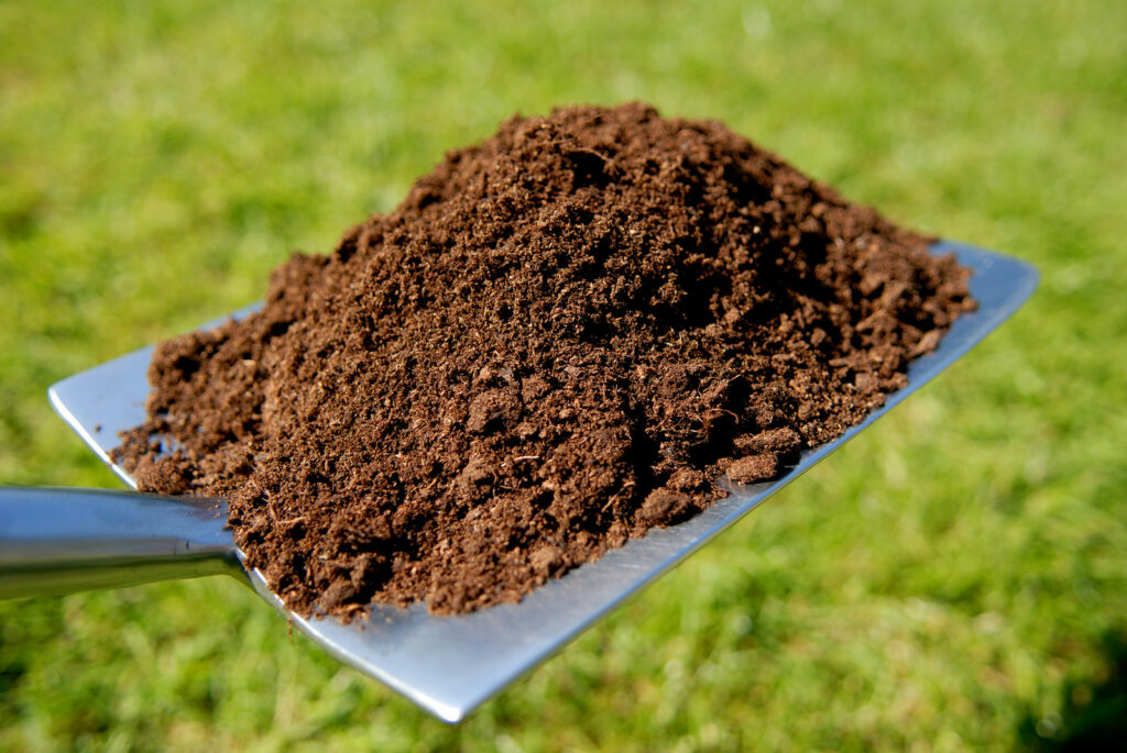 Aged manure improves soil texture and adds nutrients to the soil