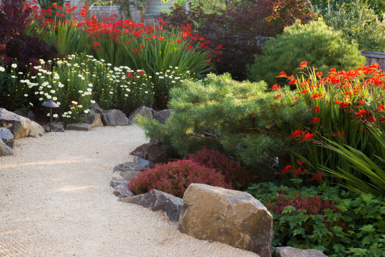 Drought-Tolerant Gardens