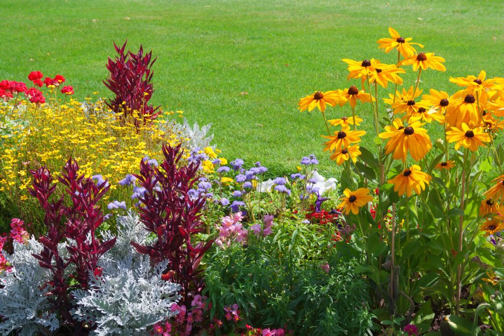 Green, silver, and burgundy foliage