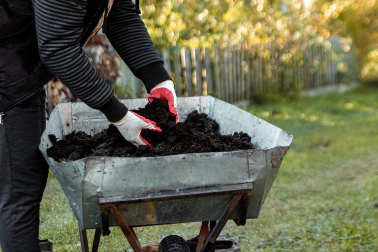 Organic Fertilizers and Soil Amendments