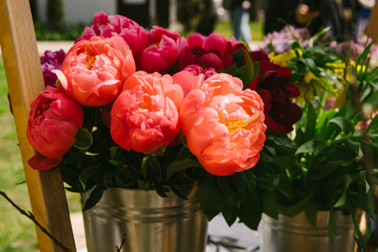 22 Flowering Perennials for Cutting