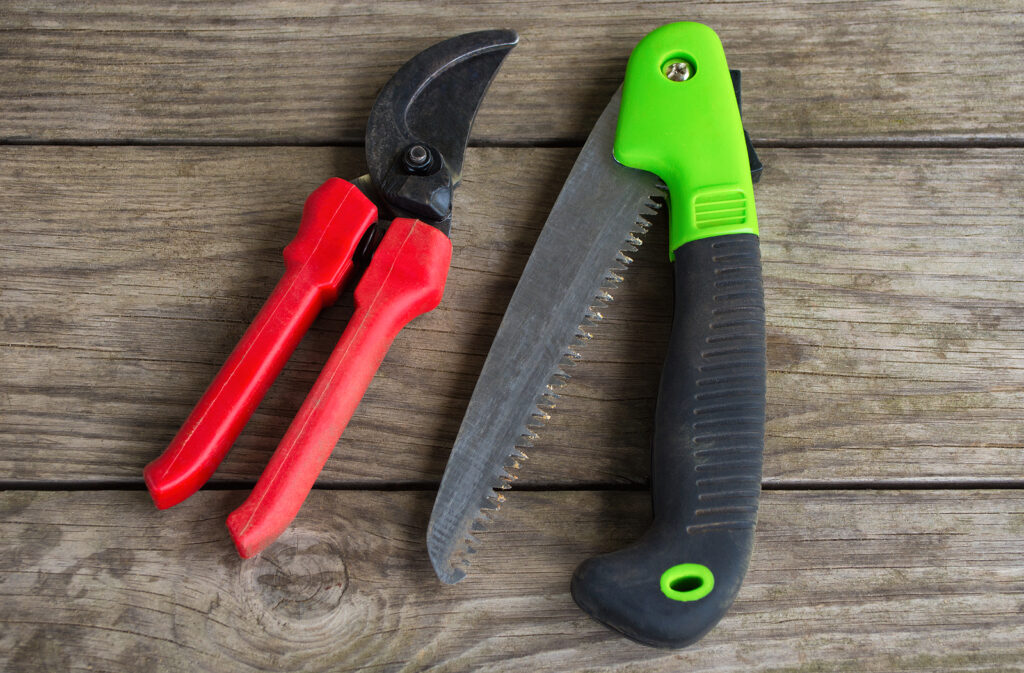 Bypass pruner and folding saw