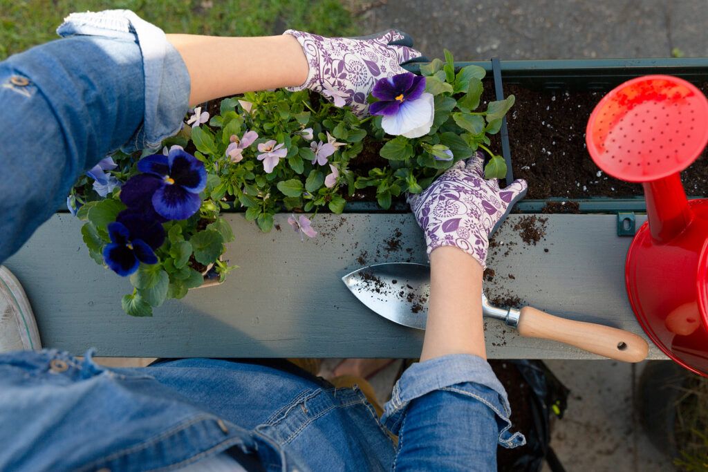 Container Mass Planting Planting a Container