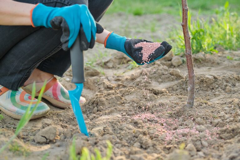 Fertilizer Basics