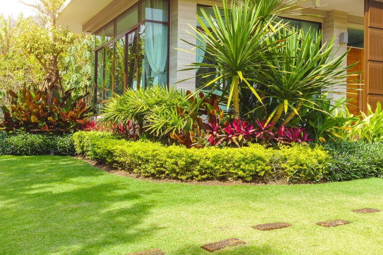 Best Shrubs for Foundation Plantings 