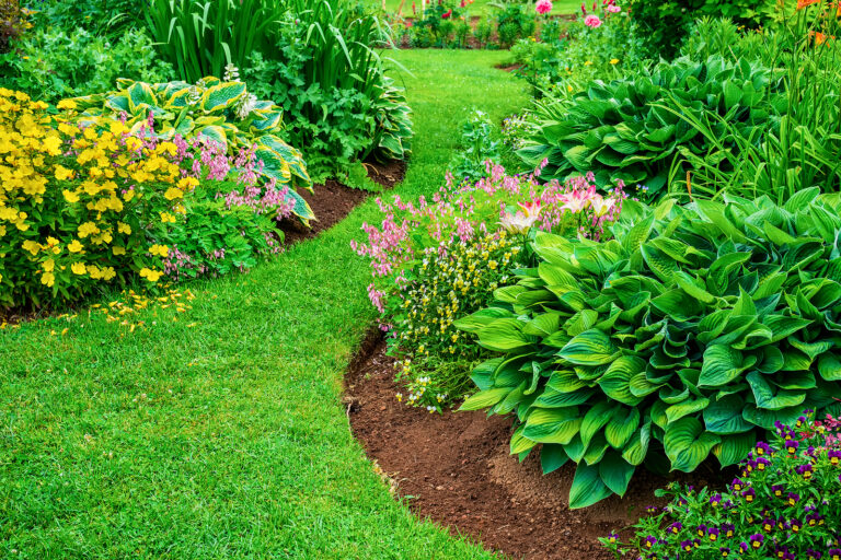 How to Prepare an Established Planting Bed for the New Season
