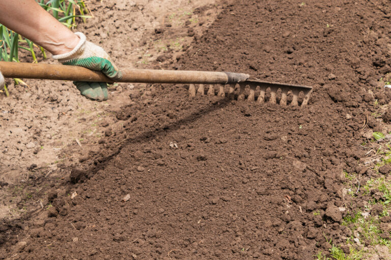No-Dig, No-Till Garden Beds